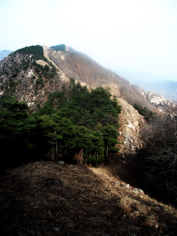 dscf0273.jpg
