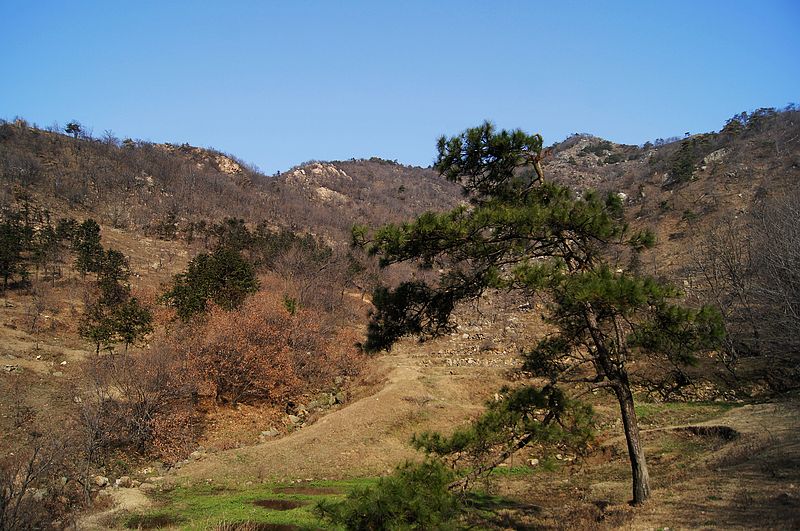 dsc02461.jpg