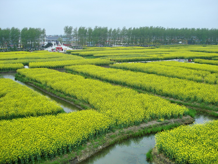 dsc08147.jpg