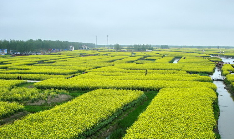 dsc08152.jpg