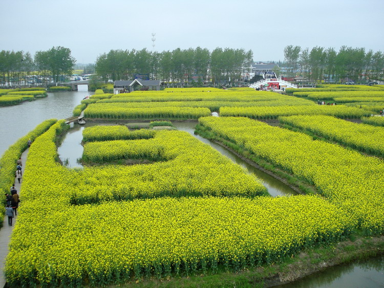 dsc08153.jpg