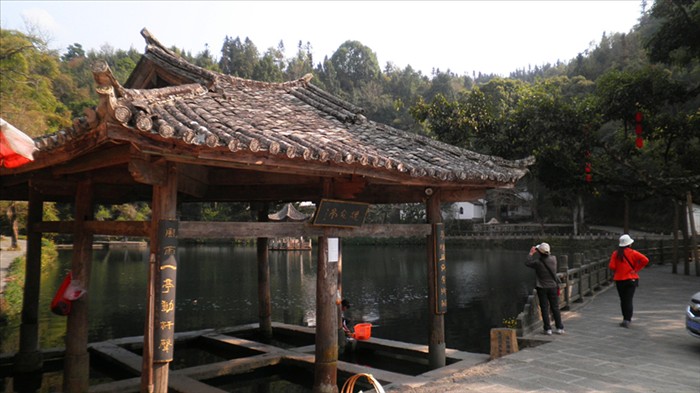 p3161291_.jpg