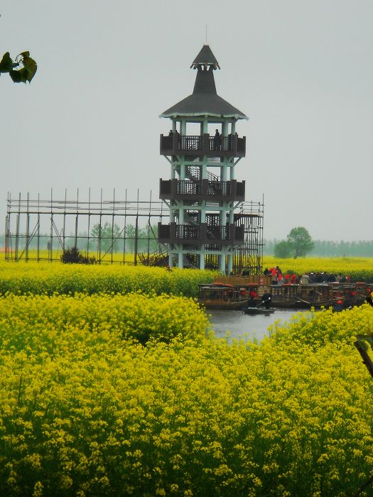 2012.04.19ձѰ 037-1.jpg