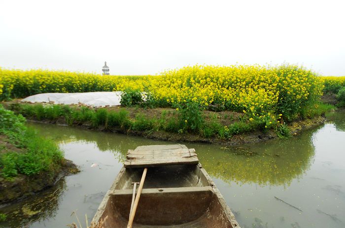 2012.04.19ձѰ 040-1.jpg