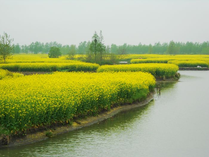 2012.04.19ձѰ 045-1.jpg