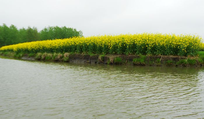 2012.04.19ձѰ 054-1.jpg