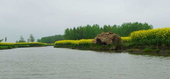 2012.04.19ձѰ 052-1.jpg