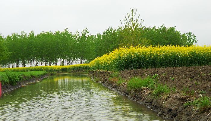 2012.04.19ձѰ 076-1.jpg