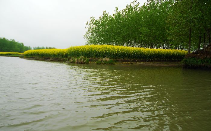 2012.04.19ձѰ 059-1.jpg