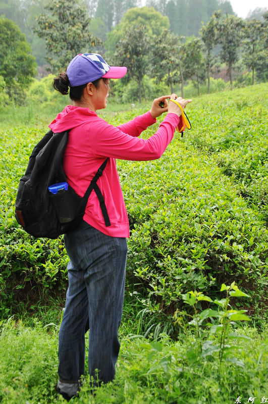 dsc_0206.jpg