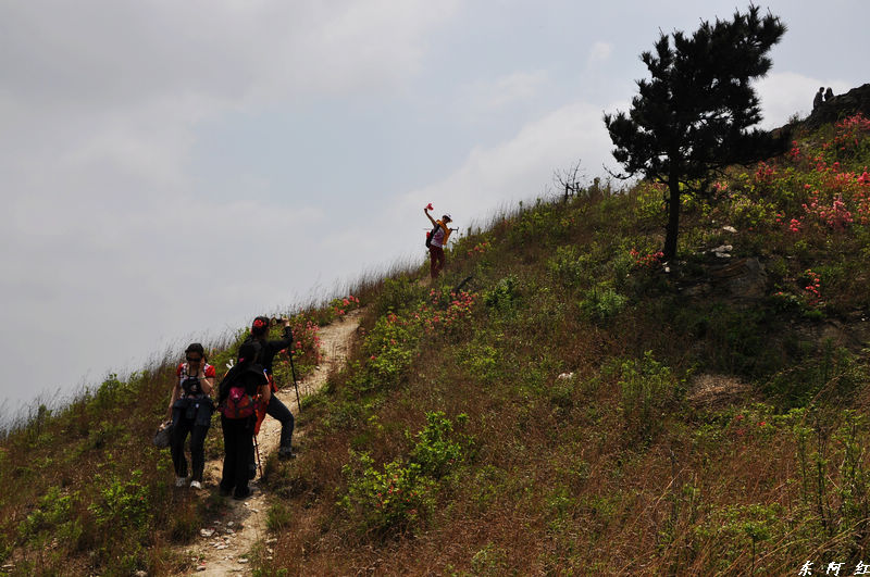 dsc_1019.jpg