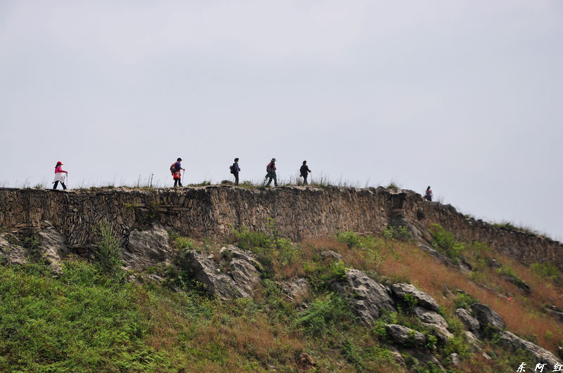 dsc_1008.jpg