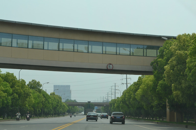 dsc_0255.jpg