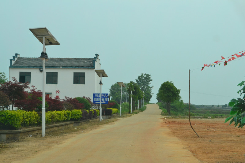 dsc_0302.jpg