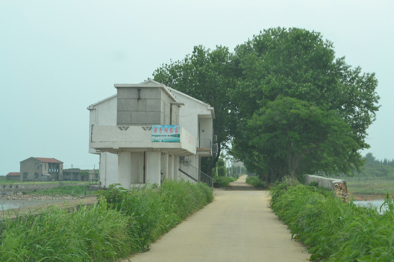 dsc_0308.jpg