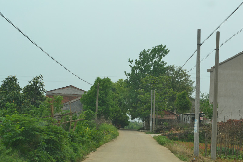 dsc_0315.jpg