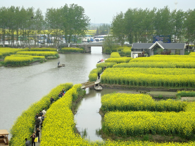 dsc08176.jpg