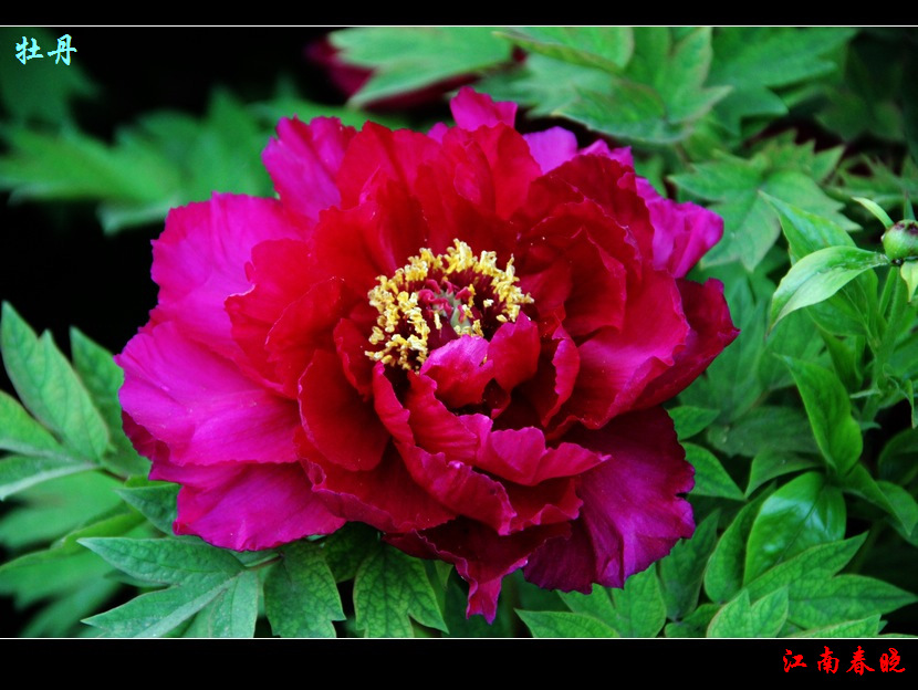 neo_img_img_4568.jpg