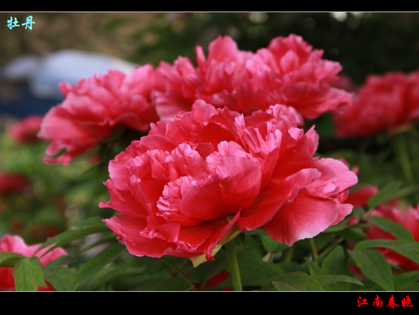 neo_img_img_4585.jpg
