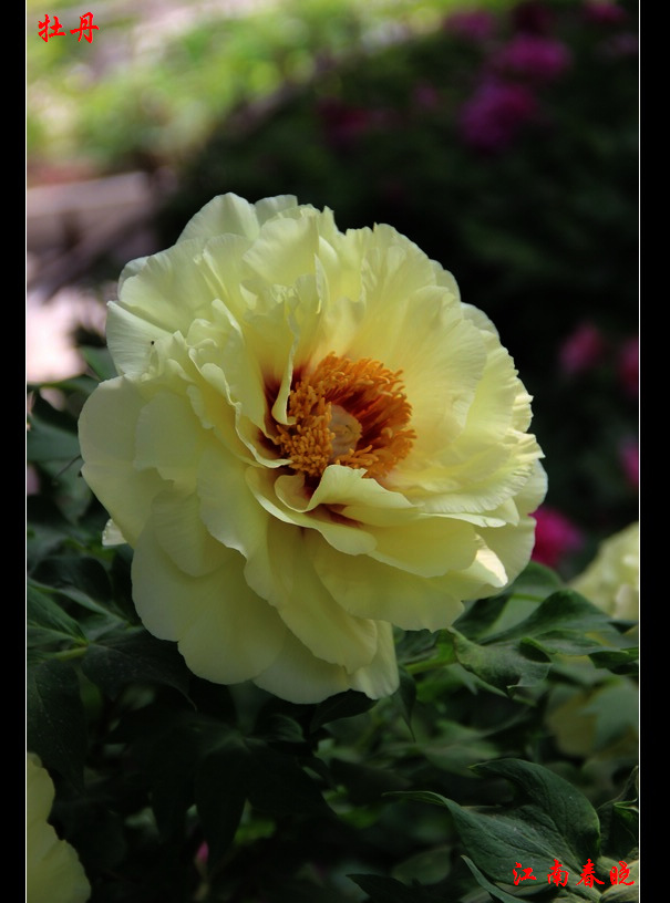 neo_img_img_4648.jpg