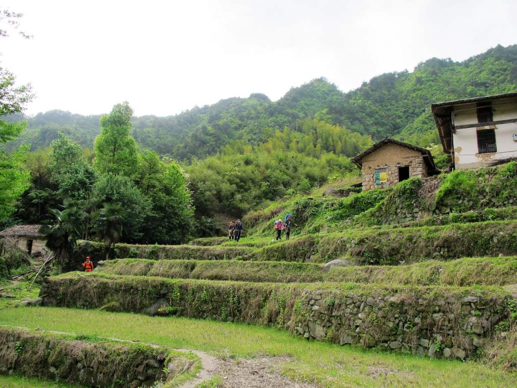 4y 030.jpg
