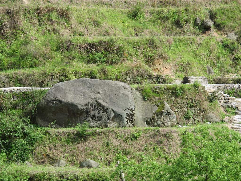 4y 037.jpg