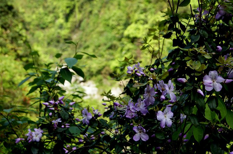 dsc00018.jpg
