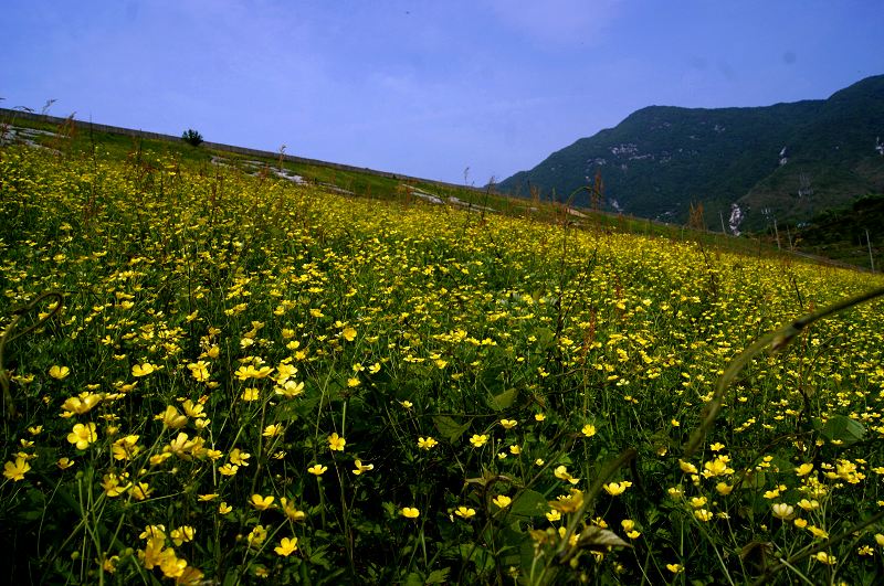 dsc00080.jpg