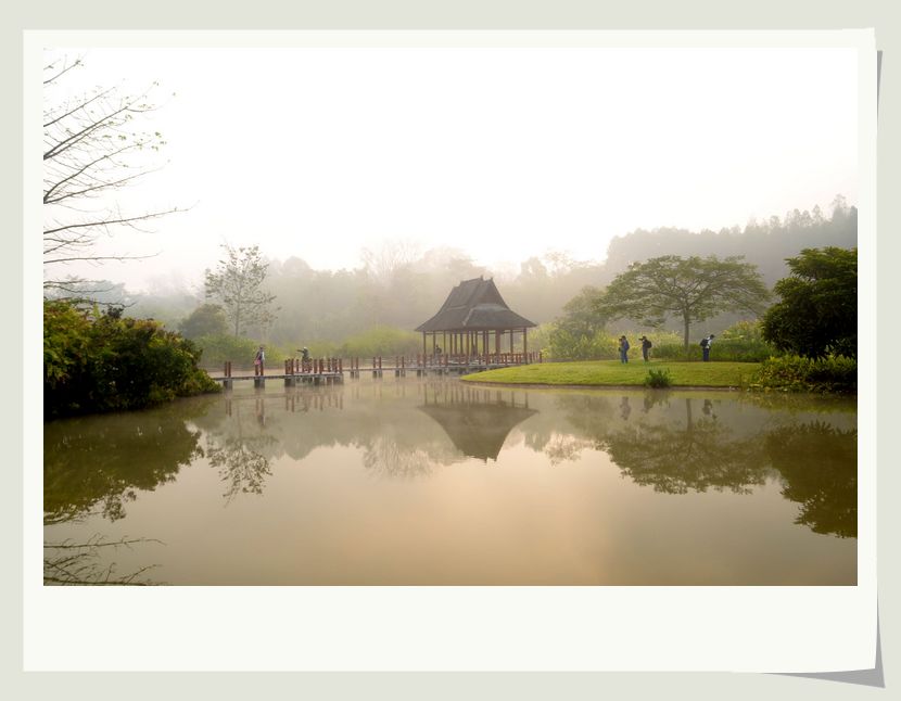 neo_img_dsc_2976.jpg