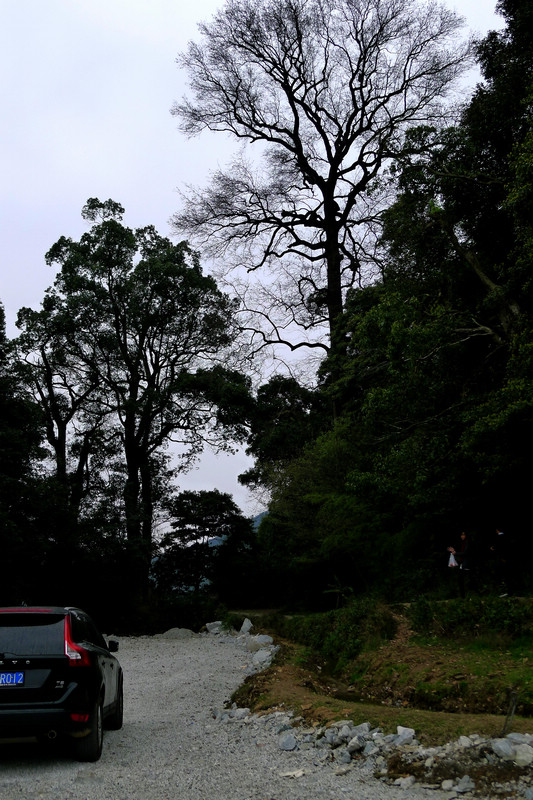 p1090070.jpg