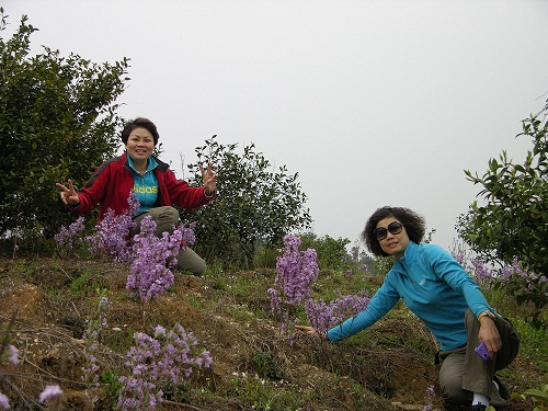 dscn2268.jpg
