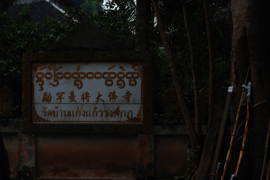 dsc_0417.jpg
