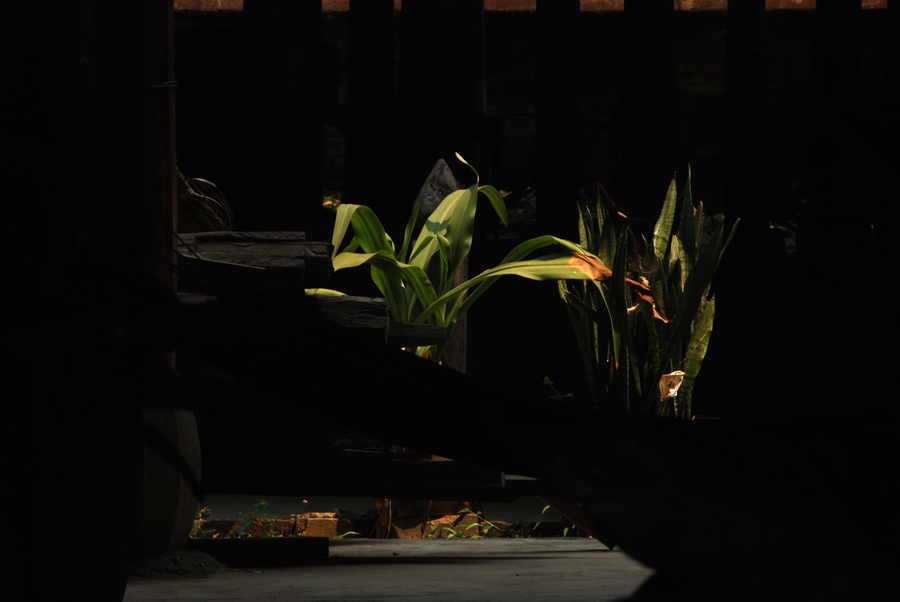 dsc_0844.jpg