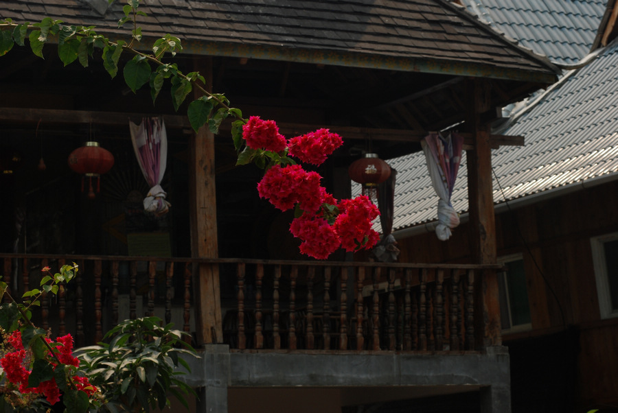 dsc_0863.jpg