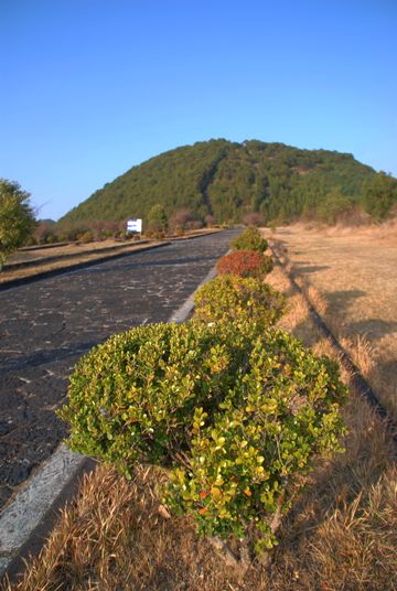 102.jpg