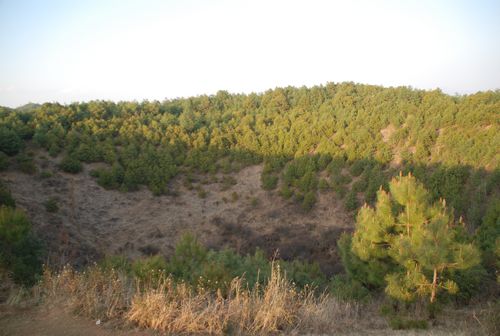 135.jpg