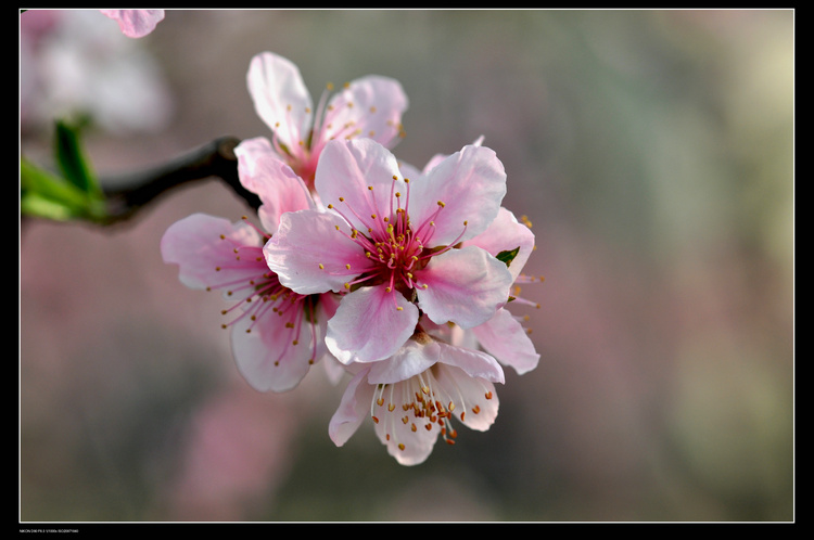 dsc_2986.jpg