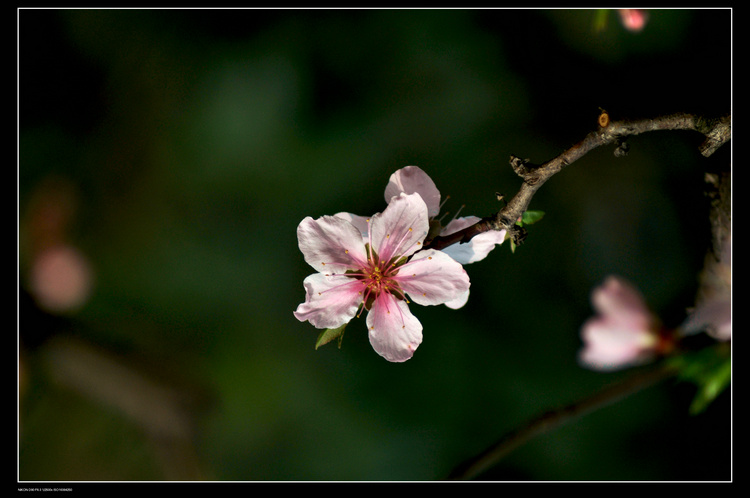 dsc_3134.jpg