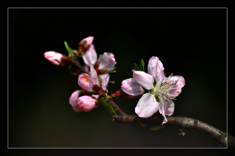 dsc_3380.jpg