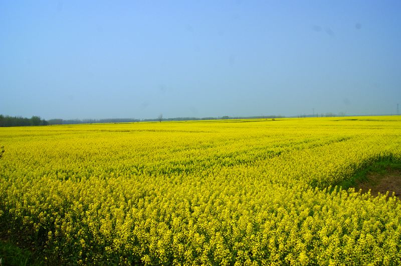 dsc07583.jpg