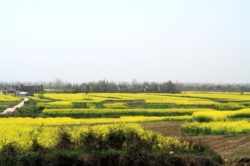 conew_img_4193.jpg