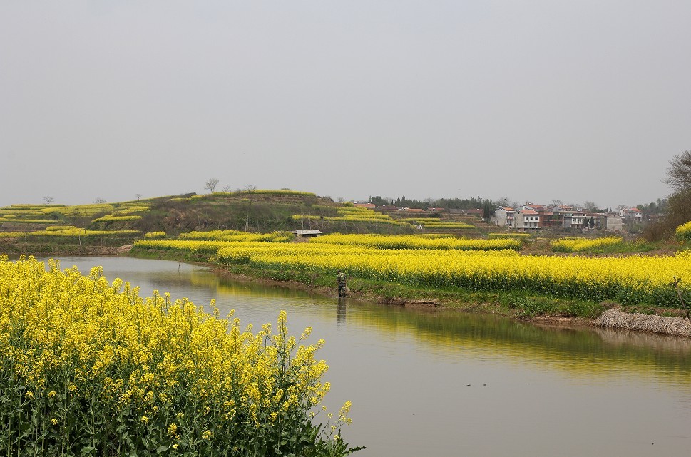 qq11.jpg