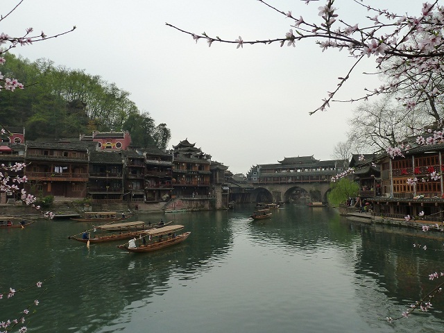 p1040081.jpg