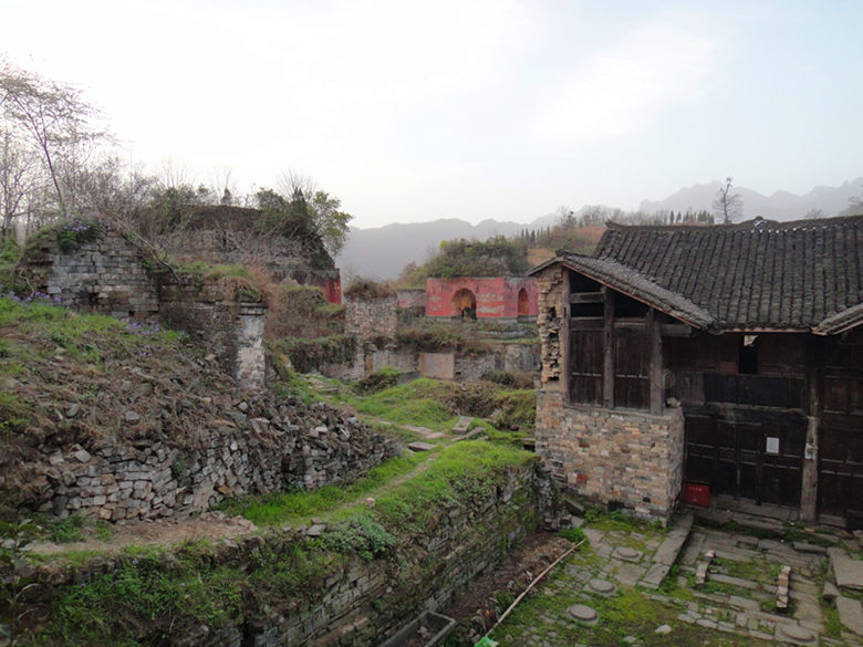 dsc00393_.jpg