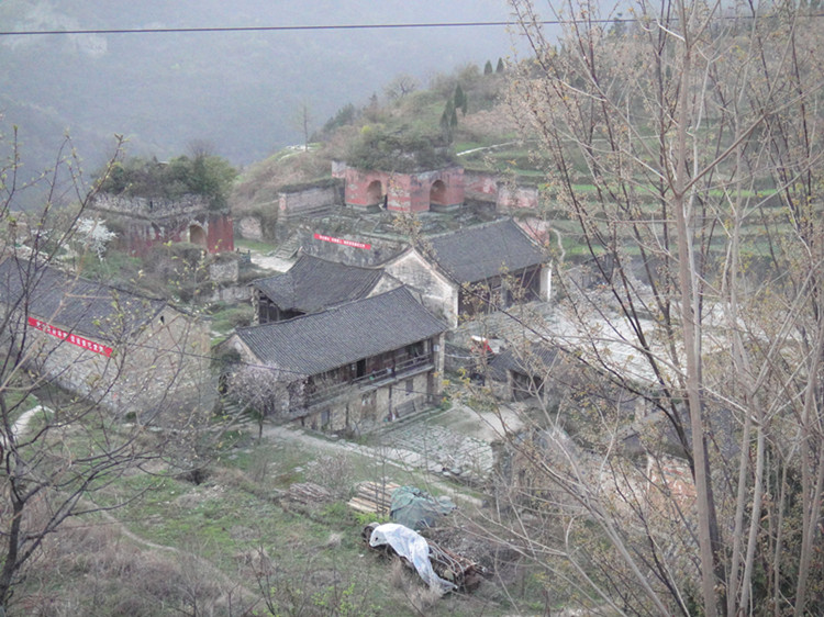 dsc00383_.jpg
