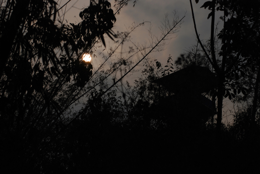 dsc_0033.jpg