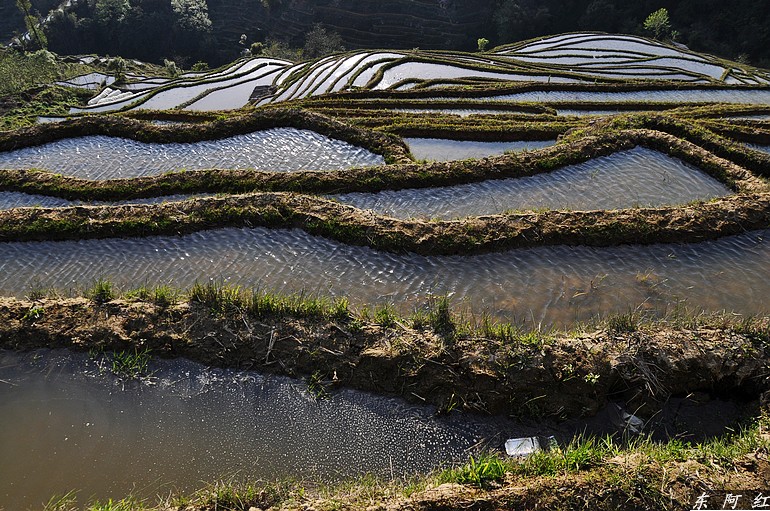 dsc_0682.jpg