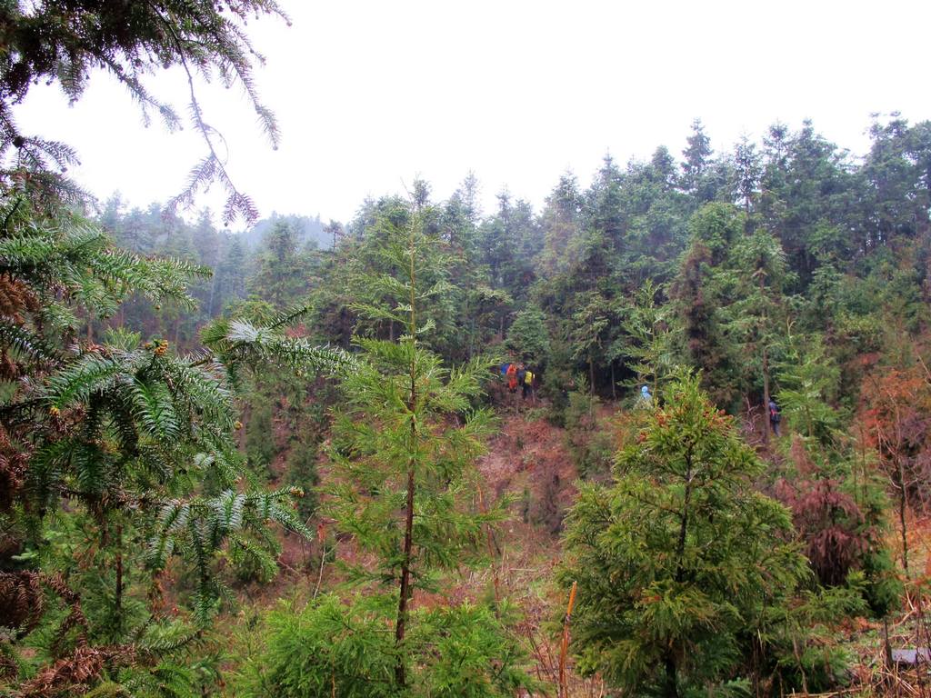 Ƭ 073.jpg