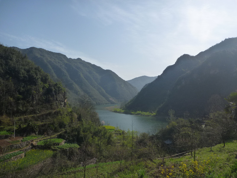 p1100918_.jpg
