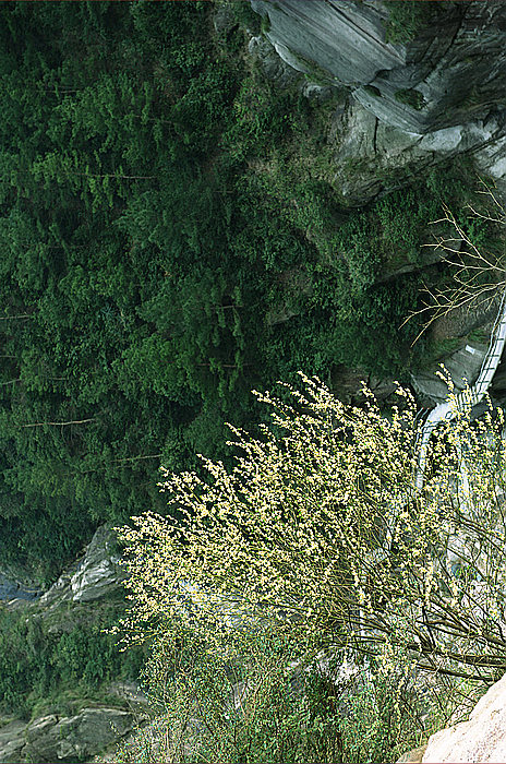 dsc_0613111.jpg